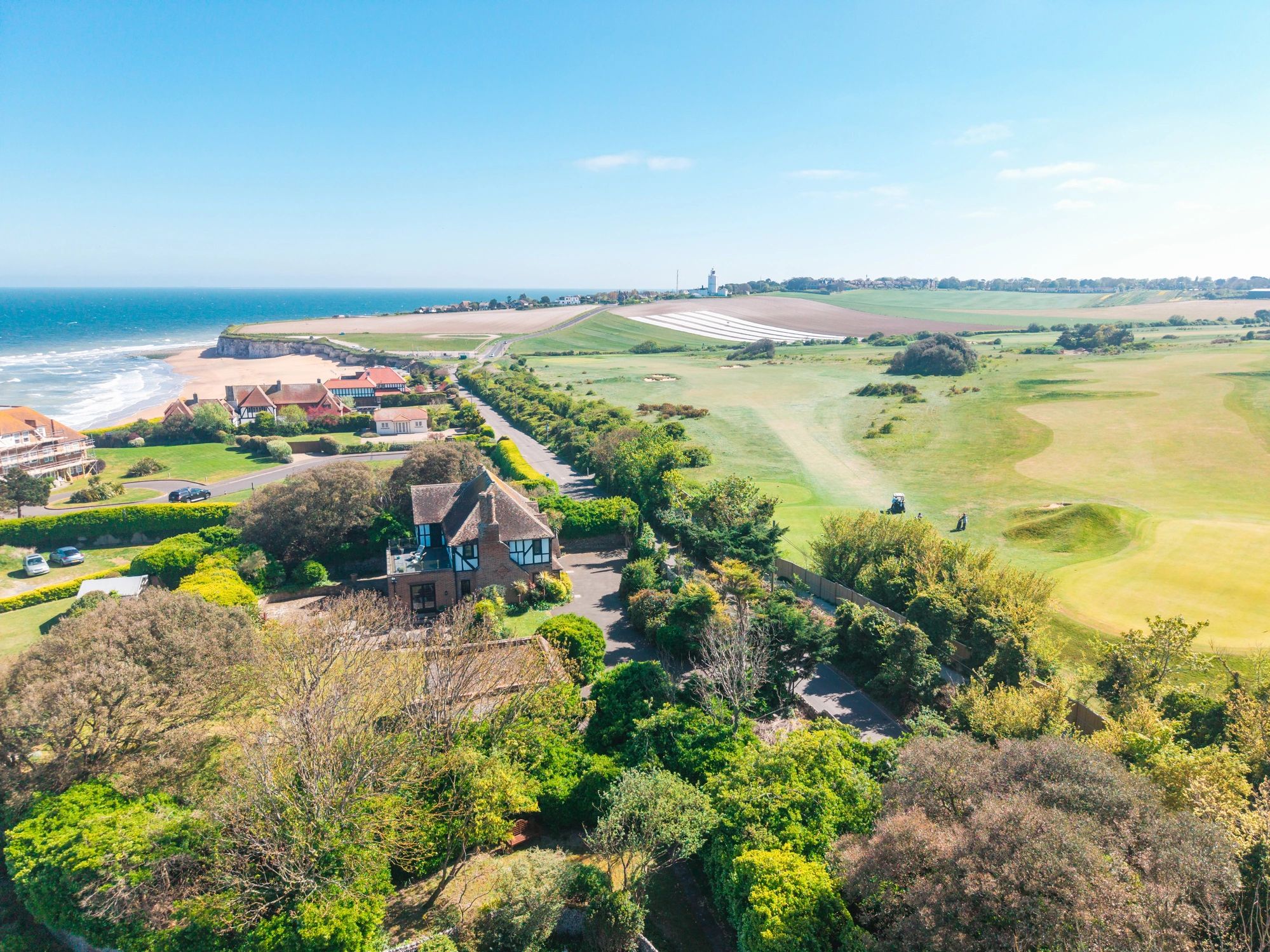 Coastal landscape representing local wildlife and habitats